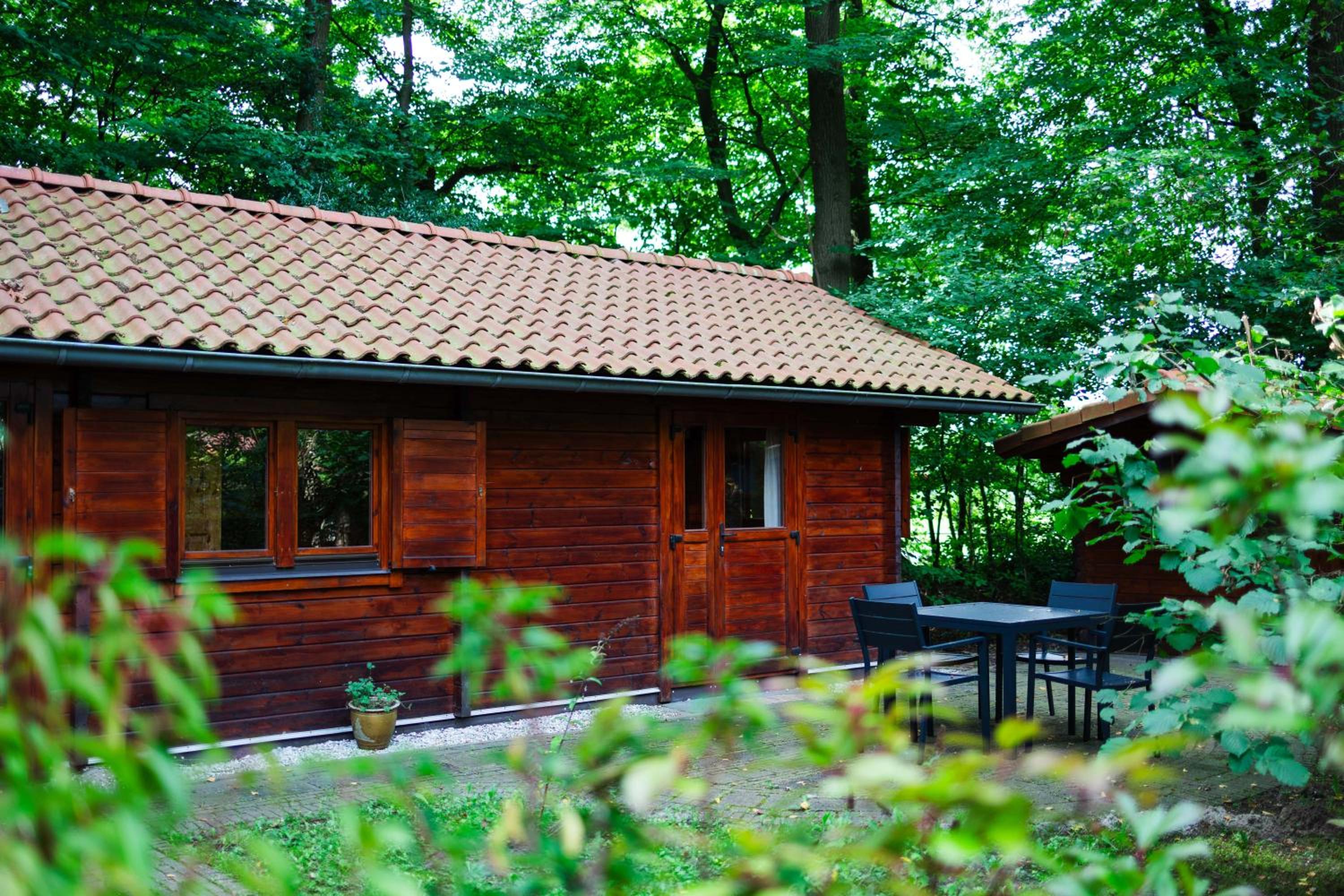 Sfeervol houten huisje met fijne buitenruimte op de Veluwe view 2