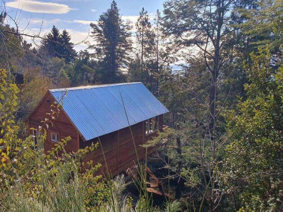 Tiny House en el bosque
