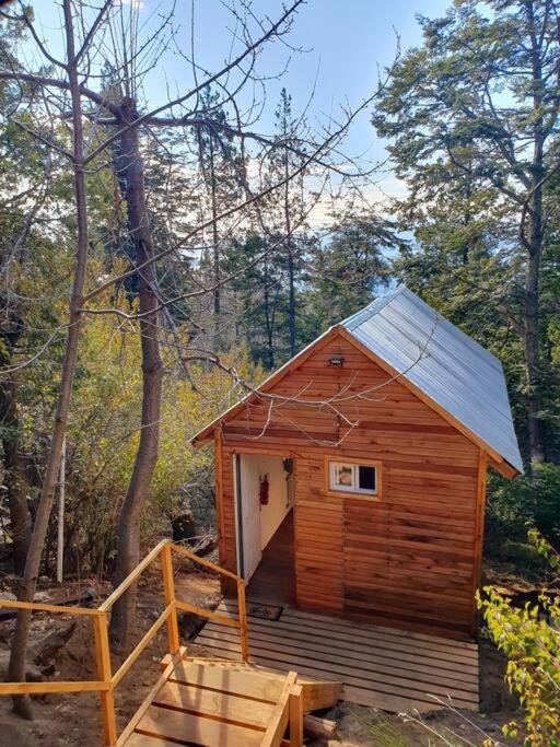 Tiny House en el bosque