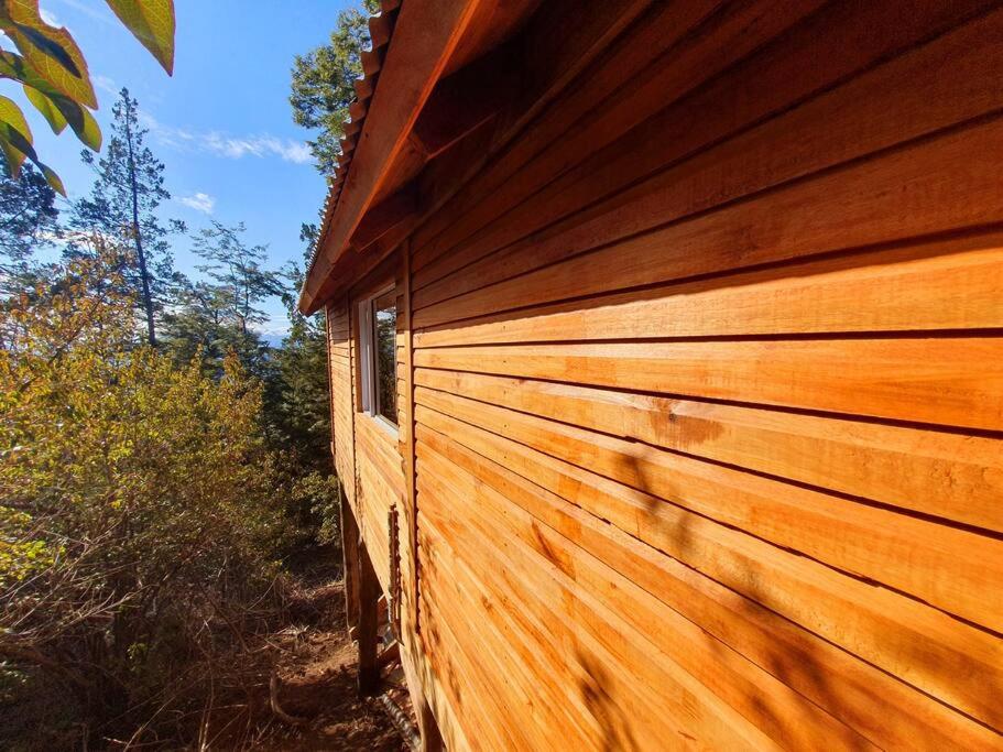 Tiny House en el bosque
