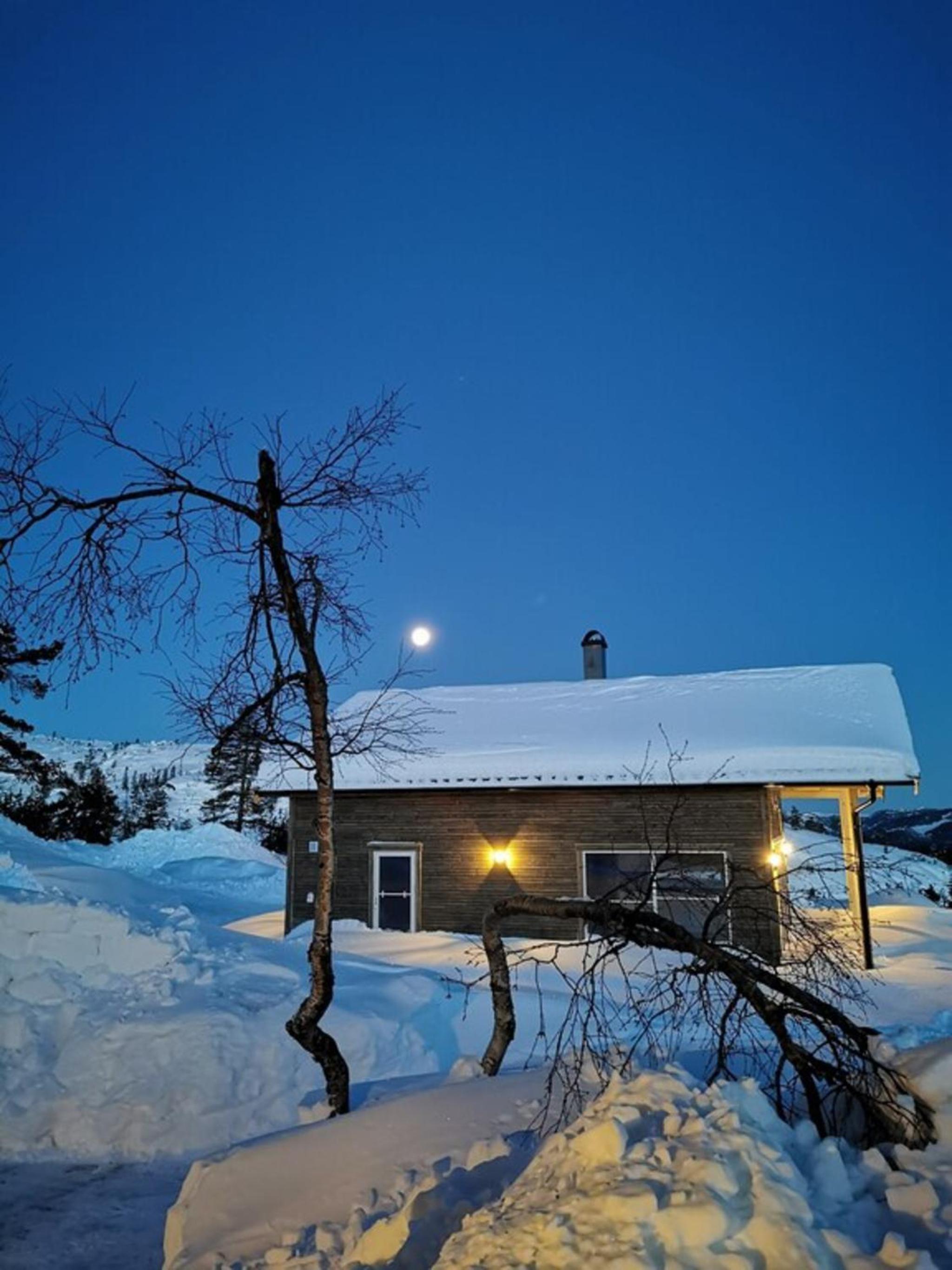 Fjellspurven