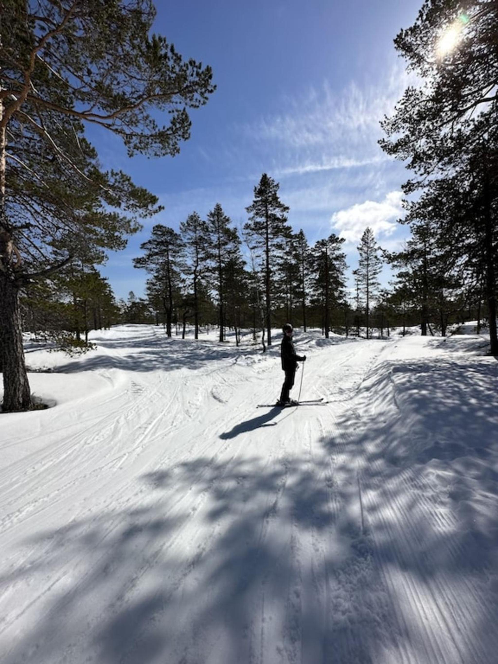 Fjellspurven