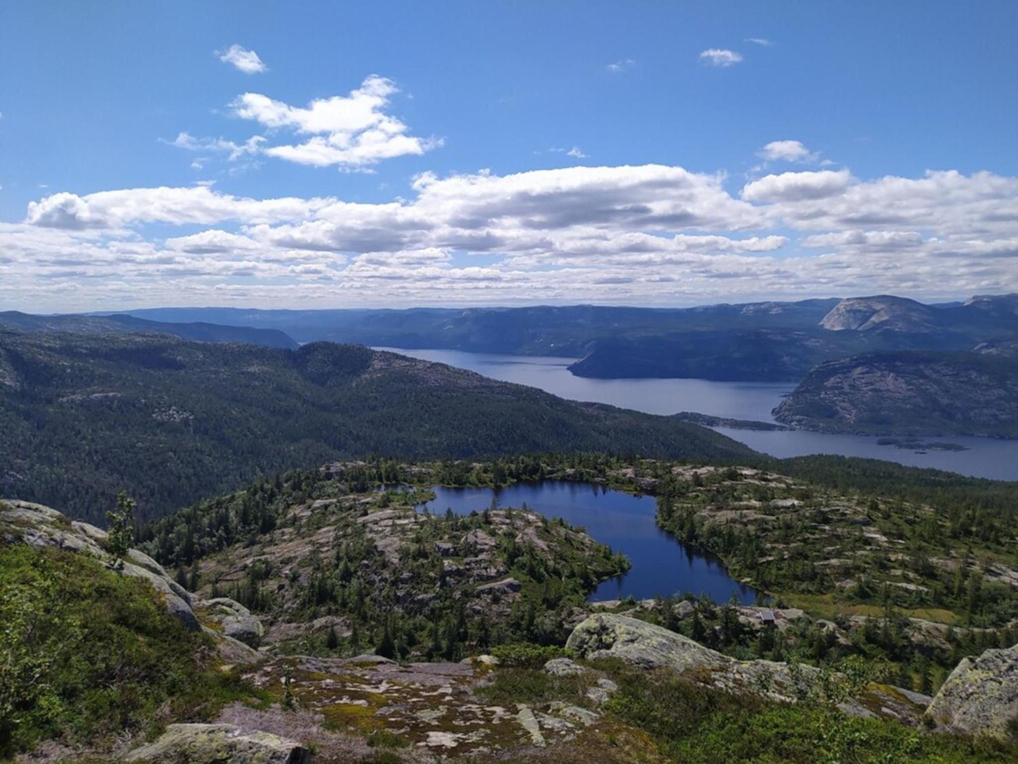 Fjellspurven