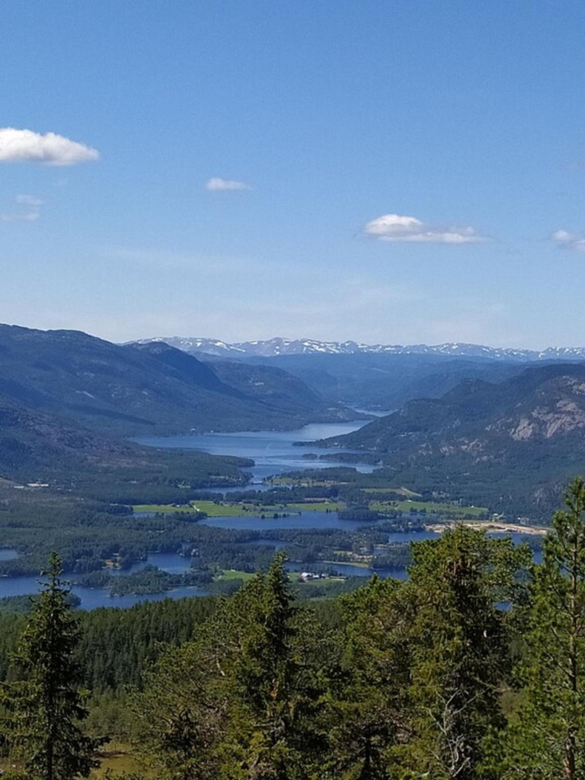 Fjellspurven