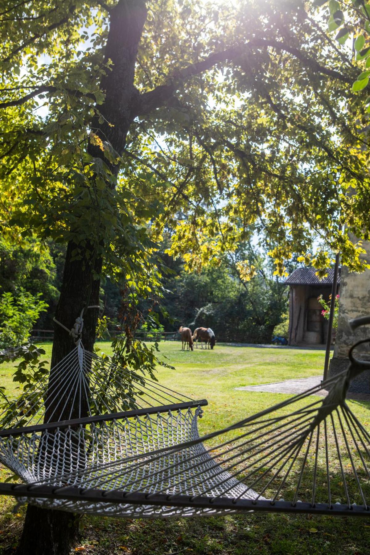 Origine Country Farm