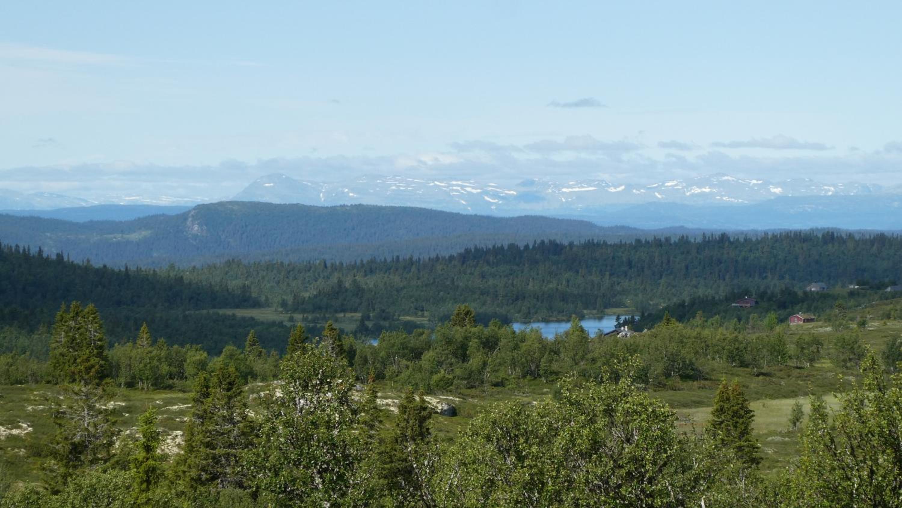 NEUE Fjellhytte