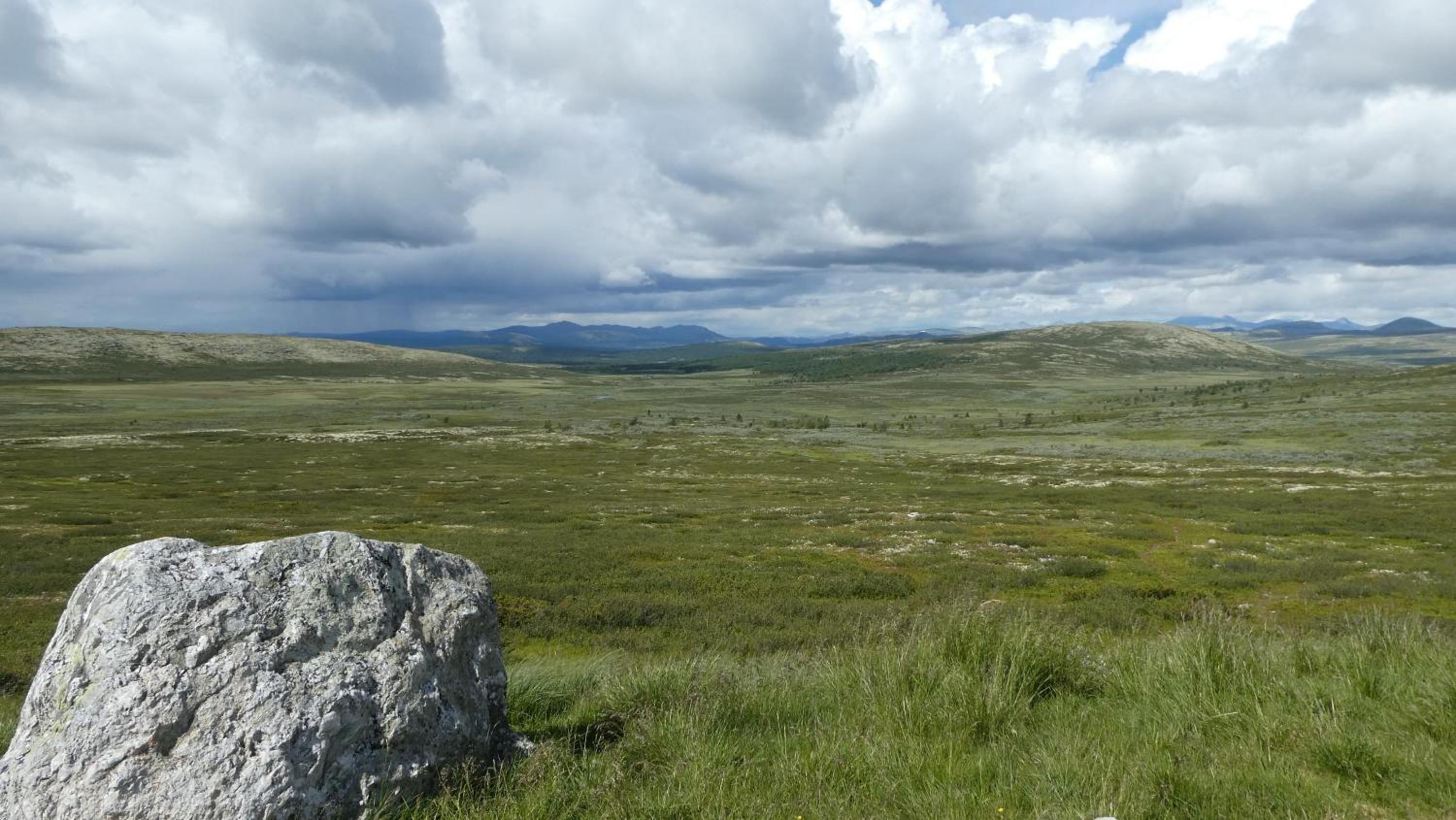NEUE Fjellhytte