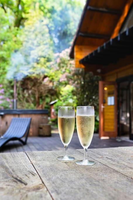 ZenCabin - Luxe en Wellness in de natuur