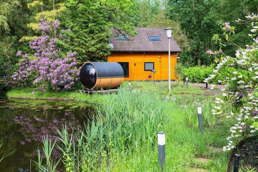 ZenCabin - Luxe en Wellness in de natuur