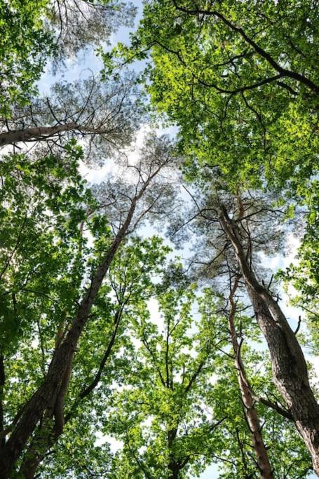 ZenCabin - Luxe en Wellness in de natuur