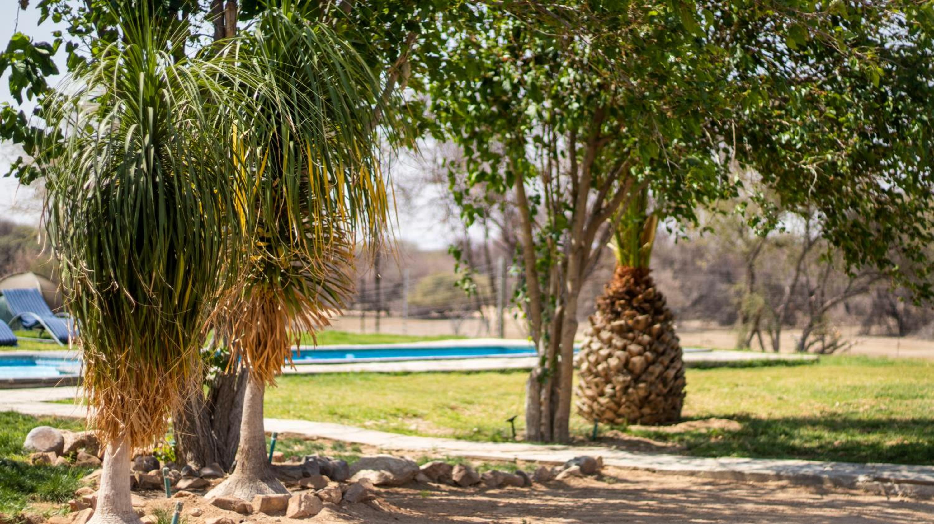 Omaruru Guest Farm view 3
