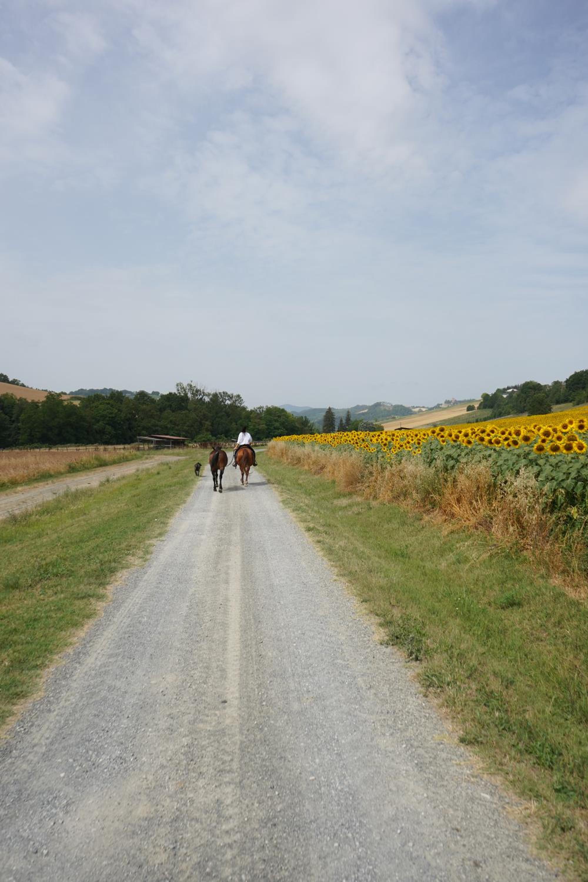 Origine Country Farm