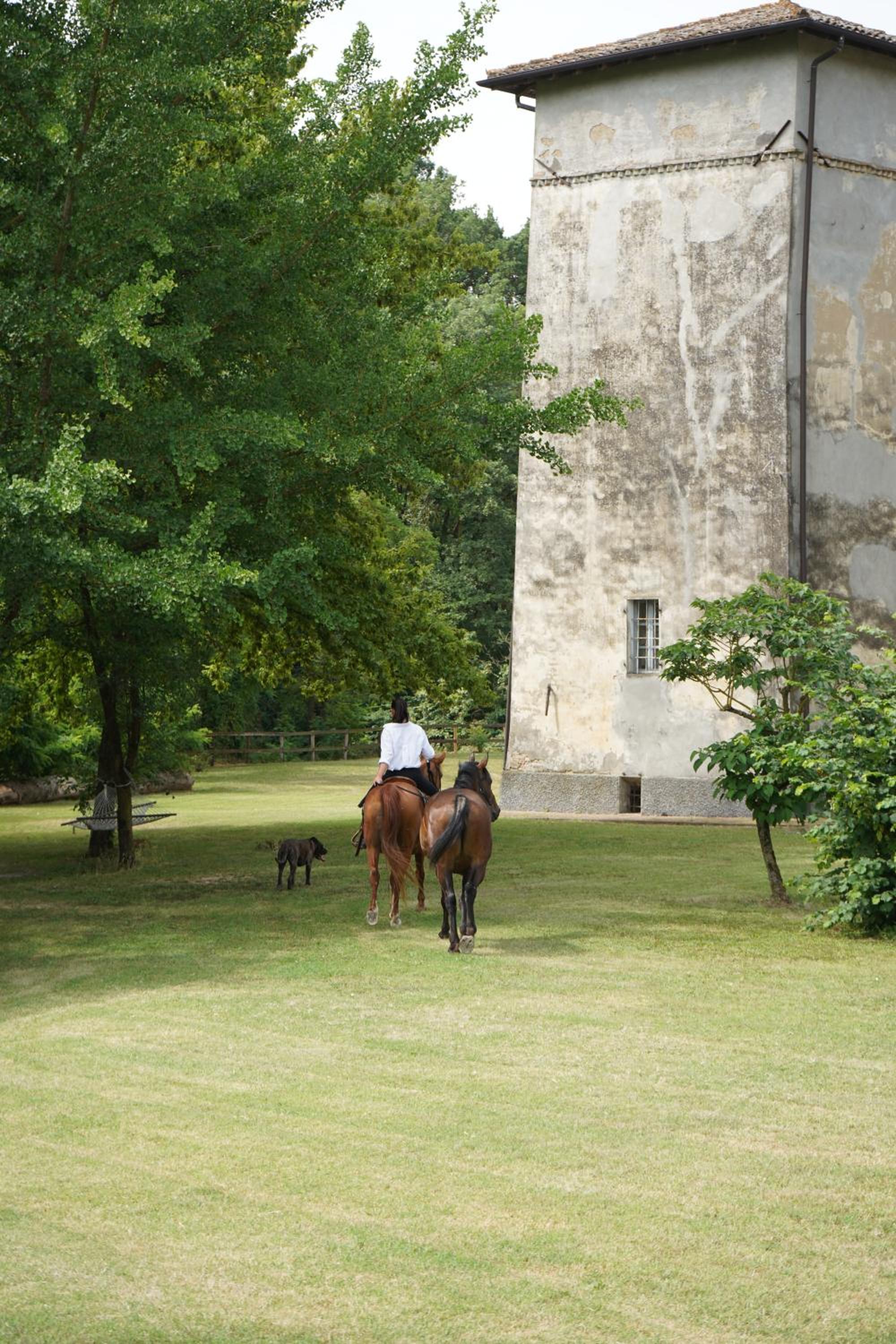 Origine Country Farm