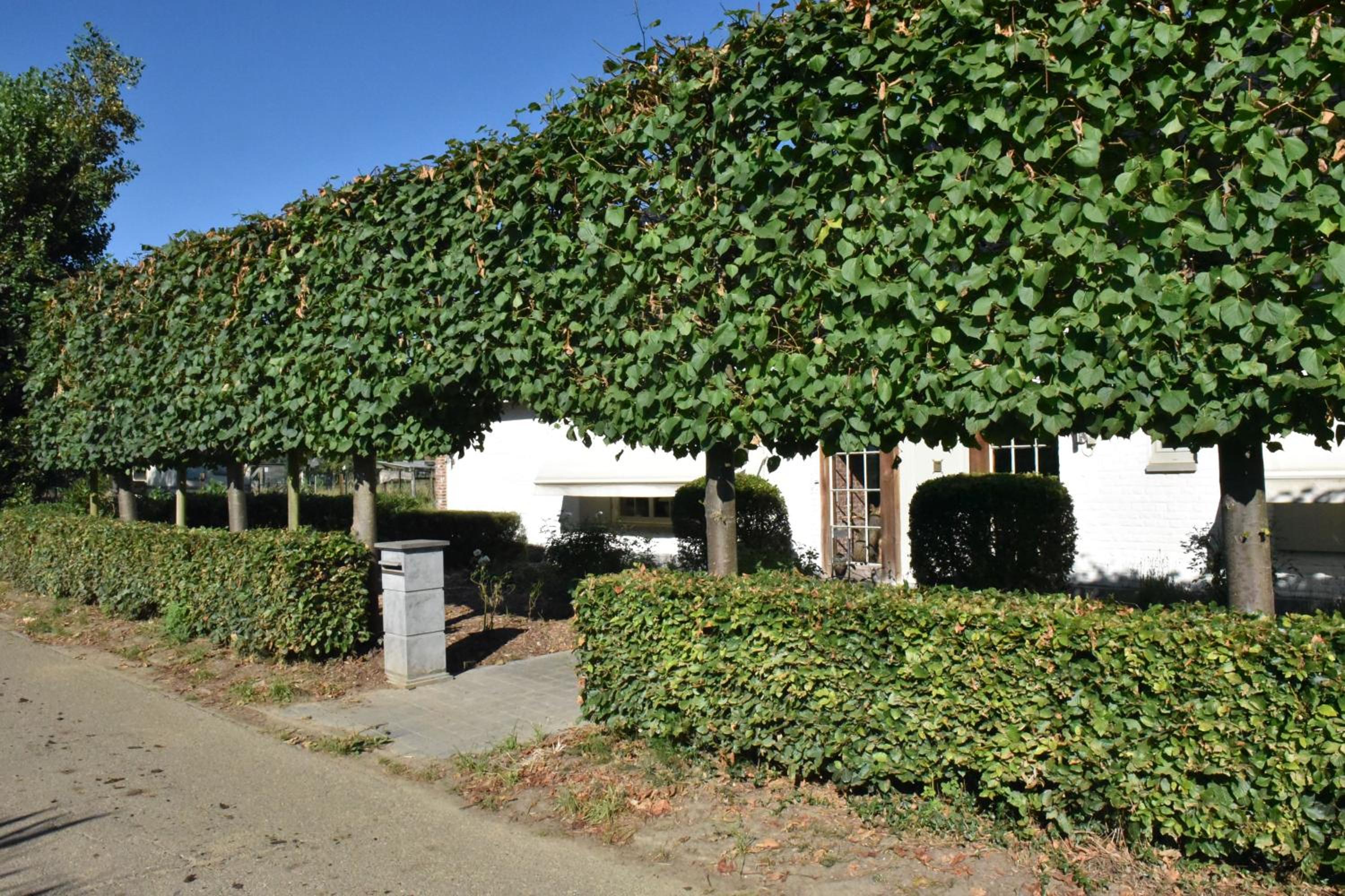 The Horst cottage