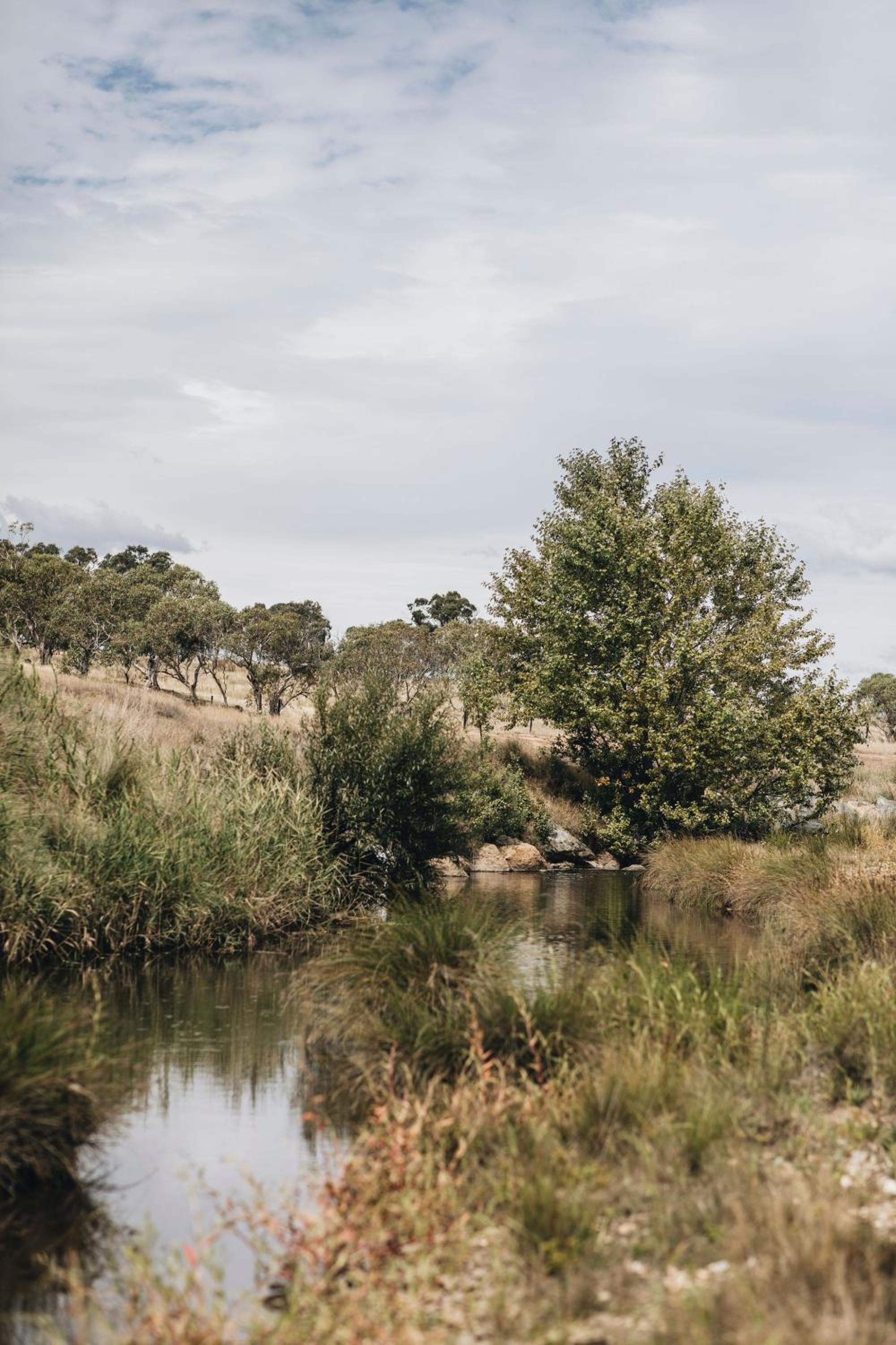 The Quarters - A Peaceful Escape on Historic Farm