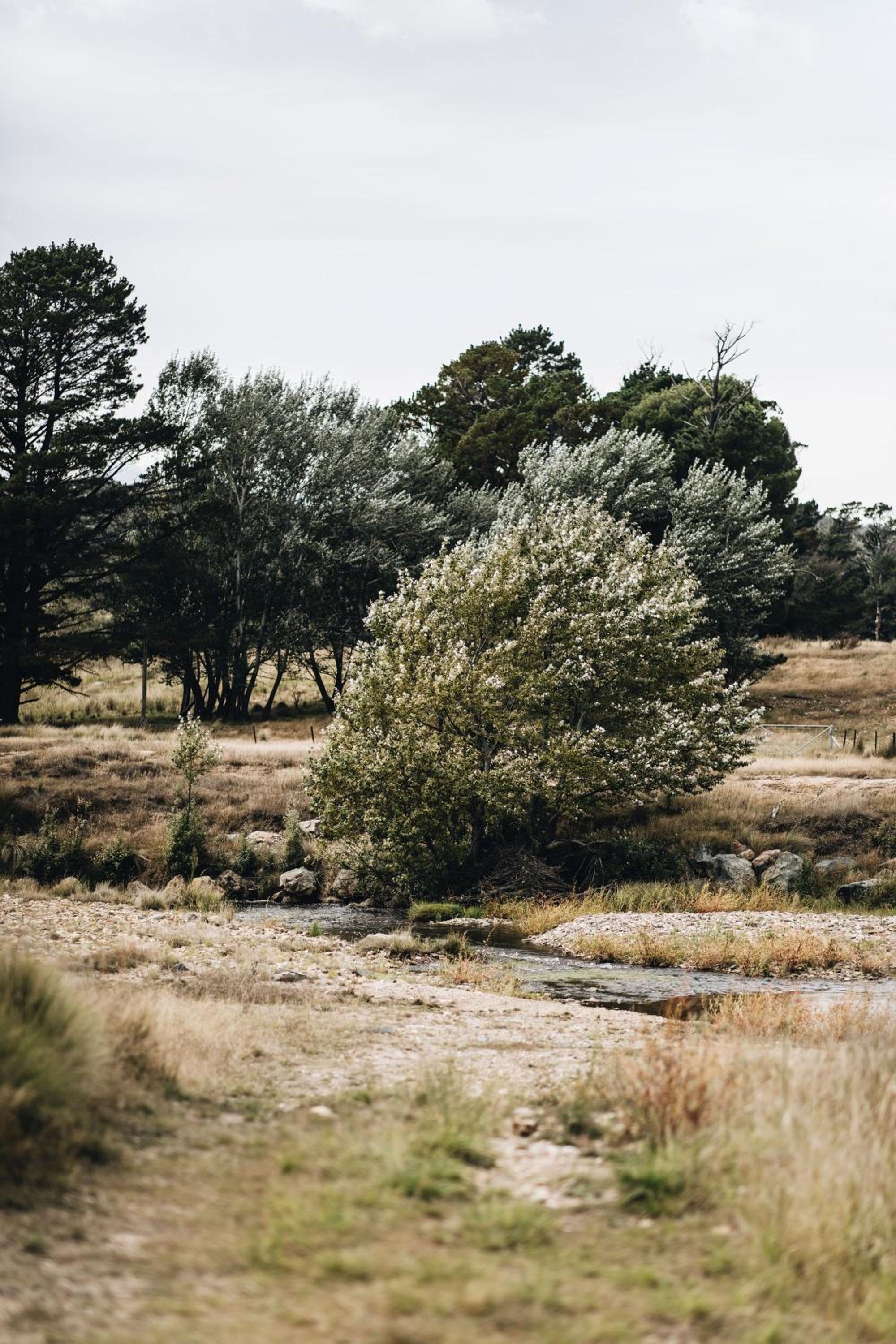 The Quarters - A Peaceful Escape on Historic Farm