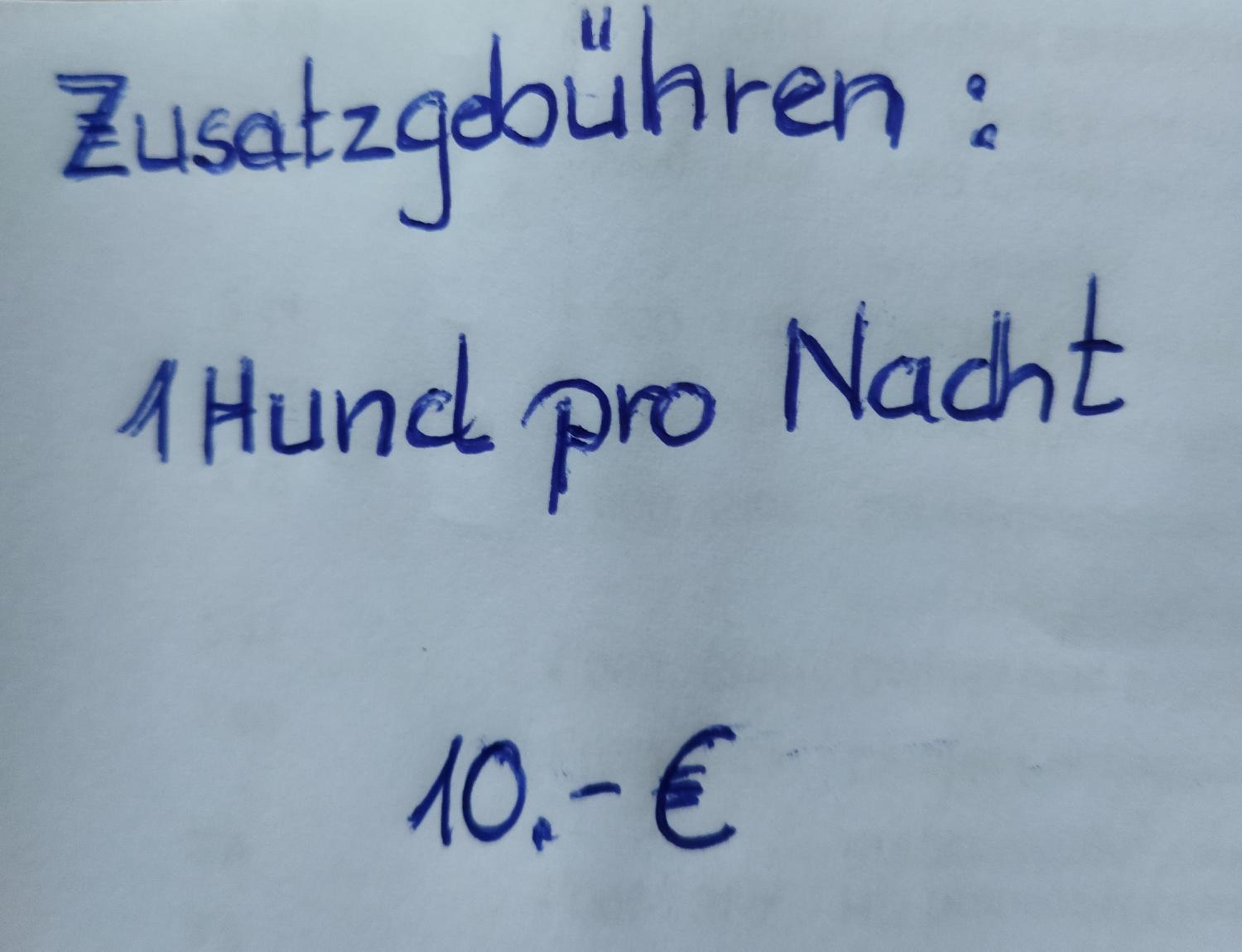Aussergewöhnliche Atelierferienwohnung mit Balkon an der Donau