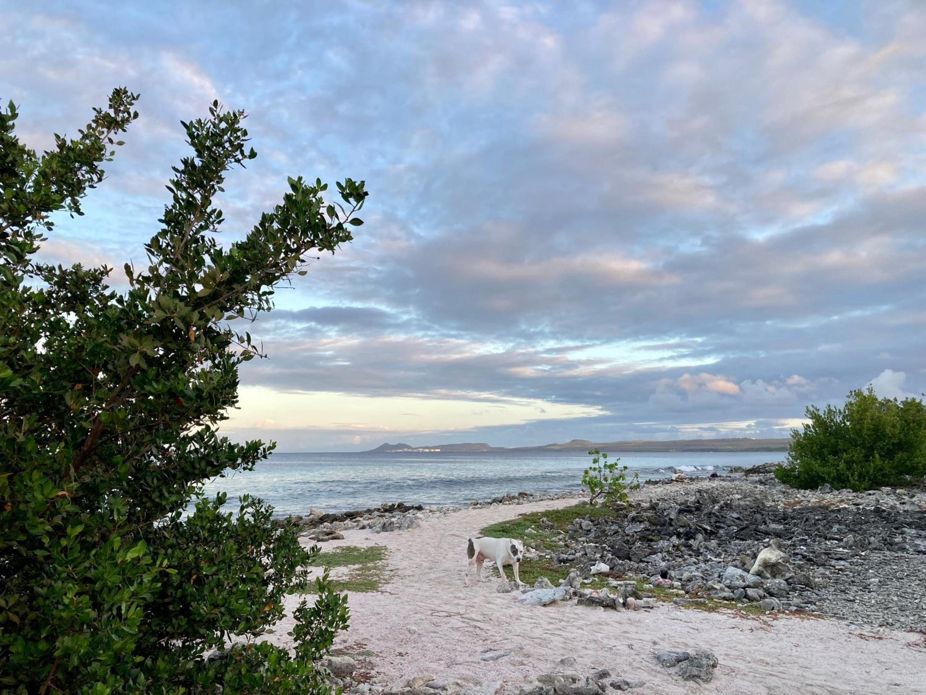Hakuna Matata Bonaire - Beach & Diving