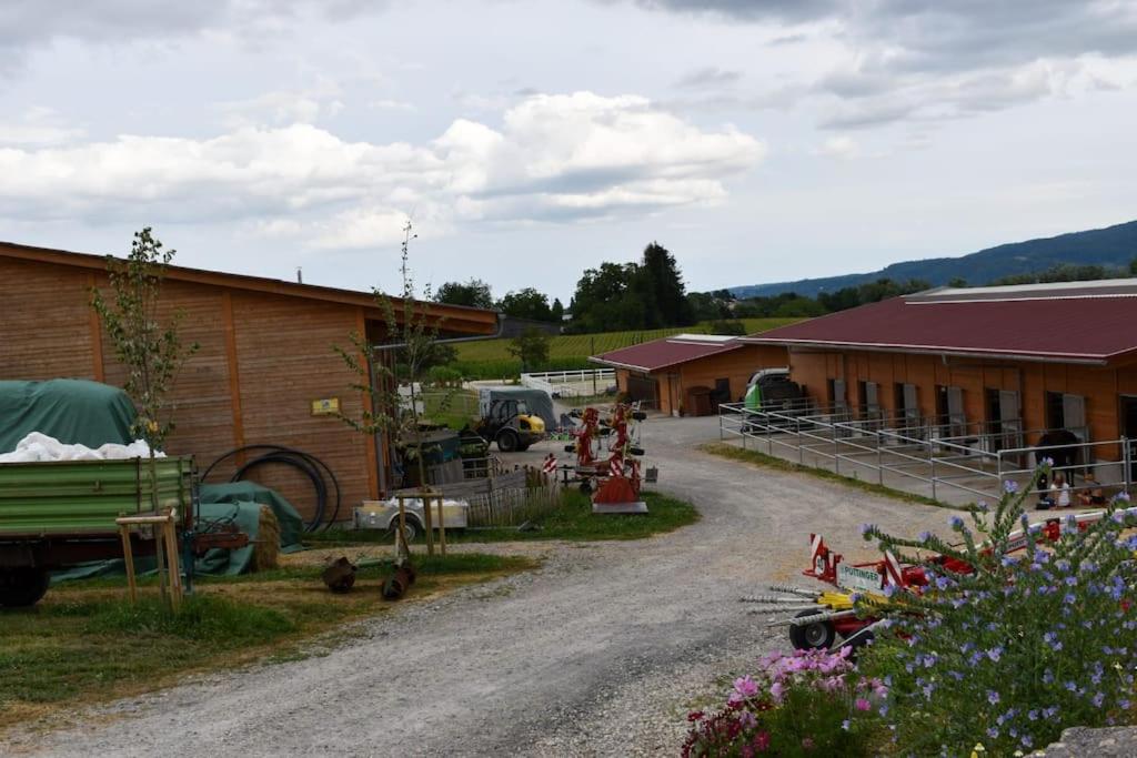 Ferienwohnung auf Aussiedlerhof mit Pferdepension