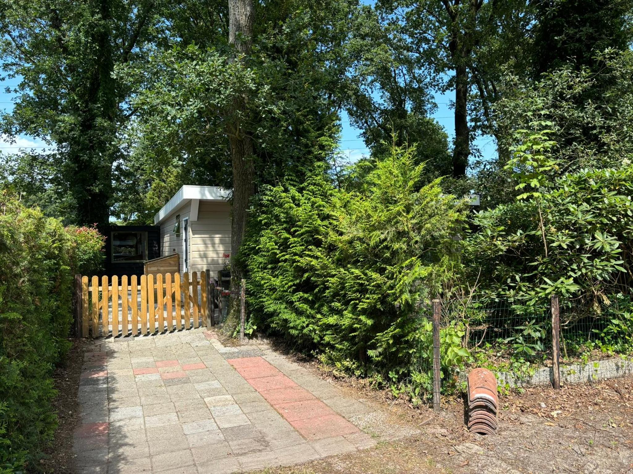 Photo 16
