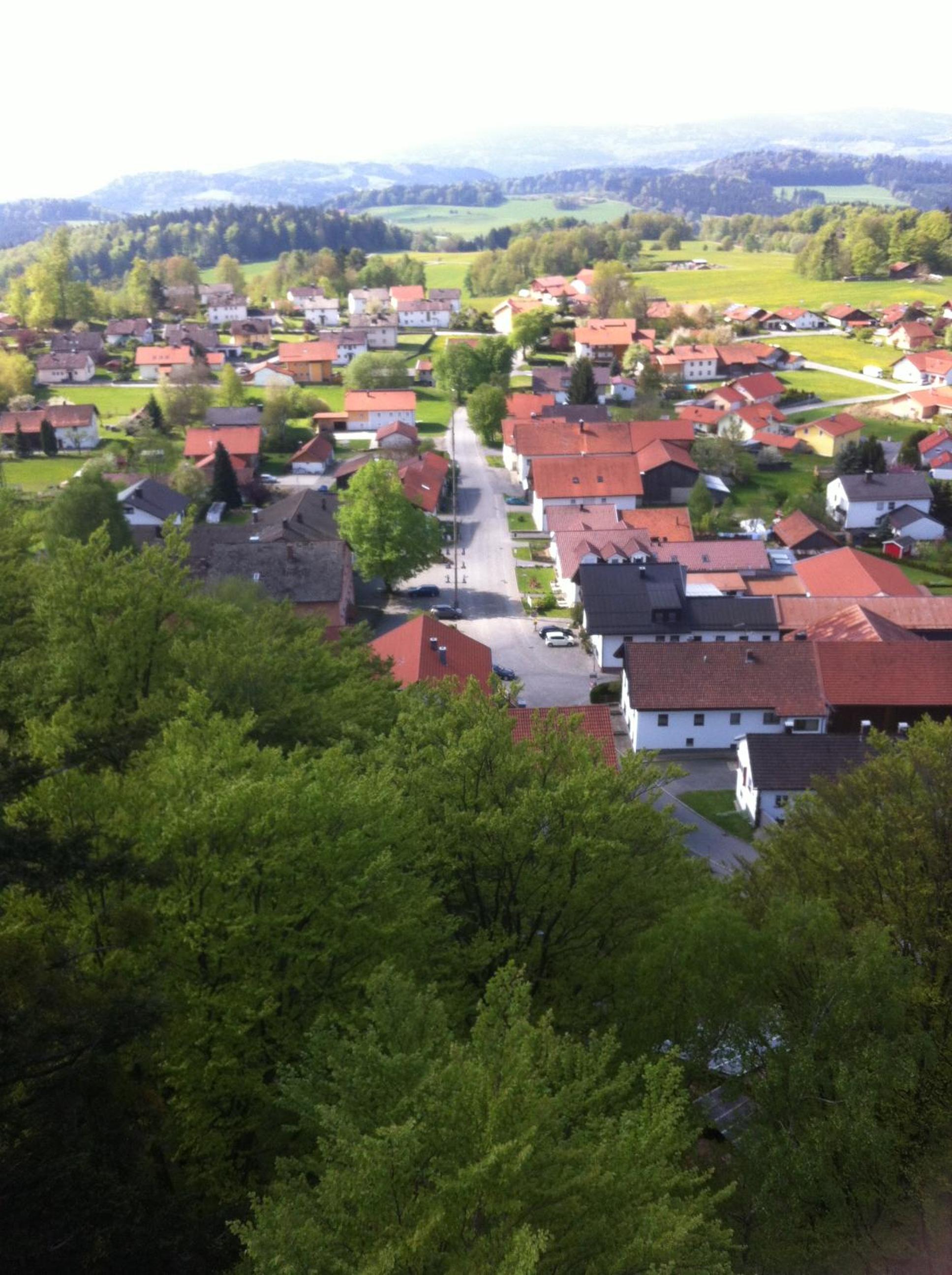 Photo 21