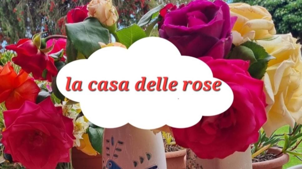 La casa delle rose view 3