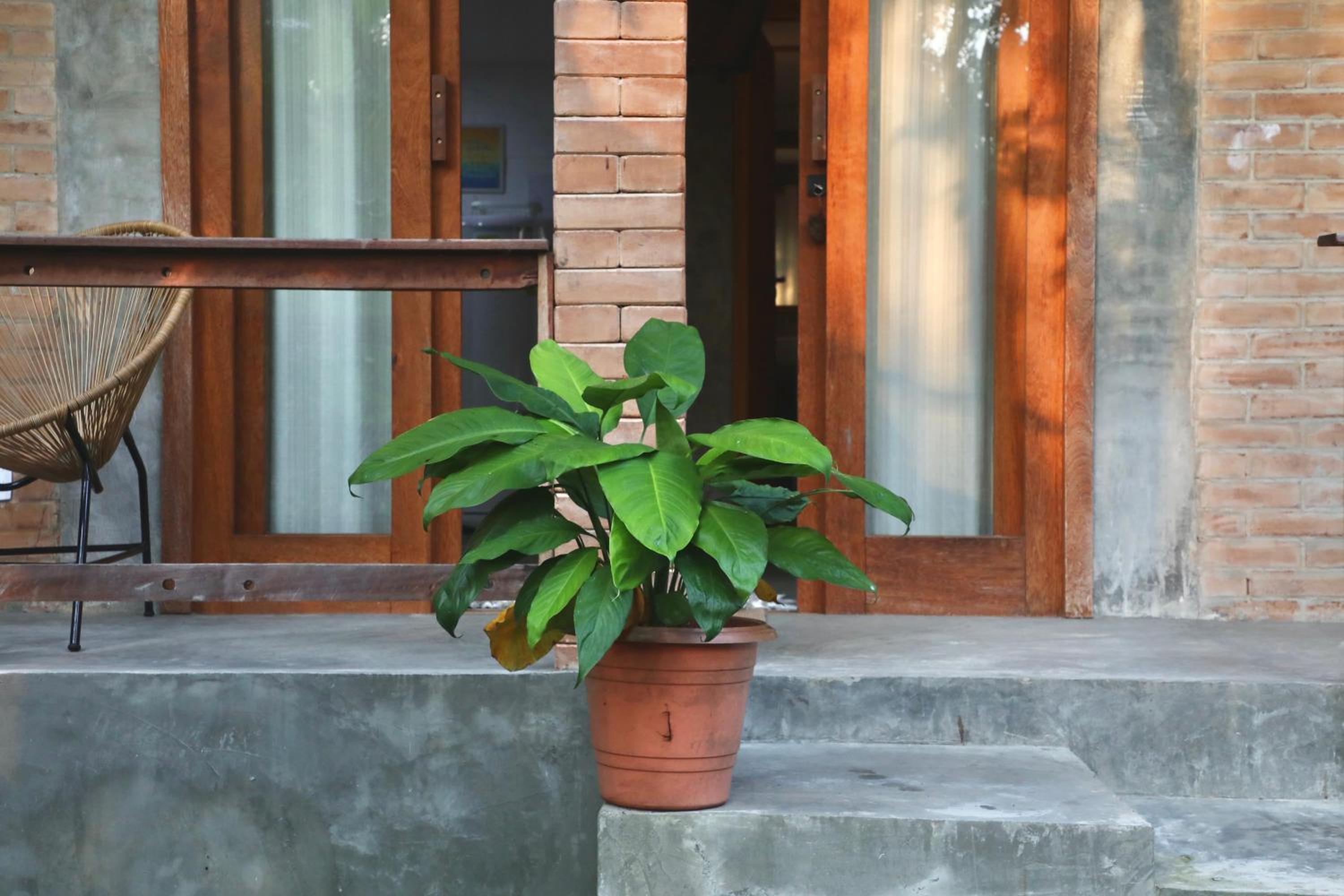 Studio ideal para casais, ecológico na natureza