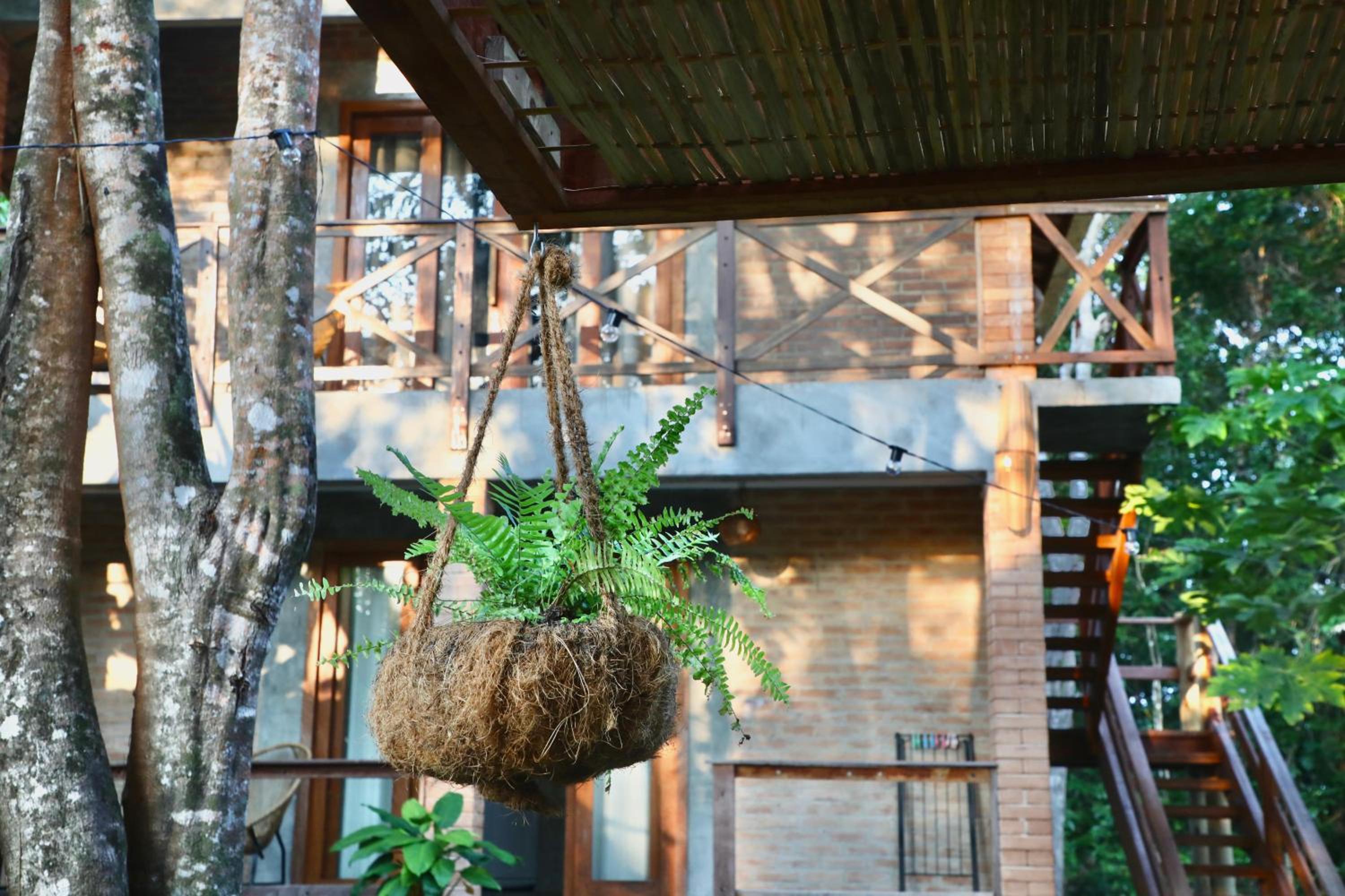 Studio ideal para casais, ecológico na natureza
