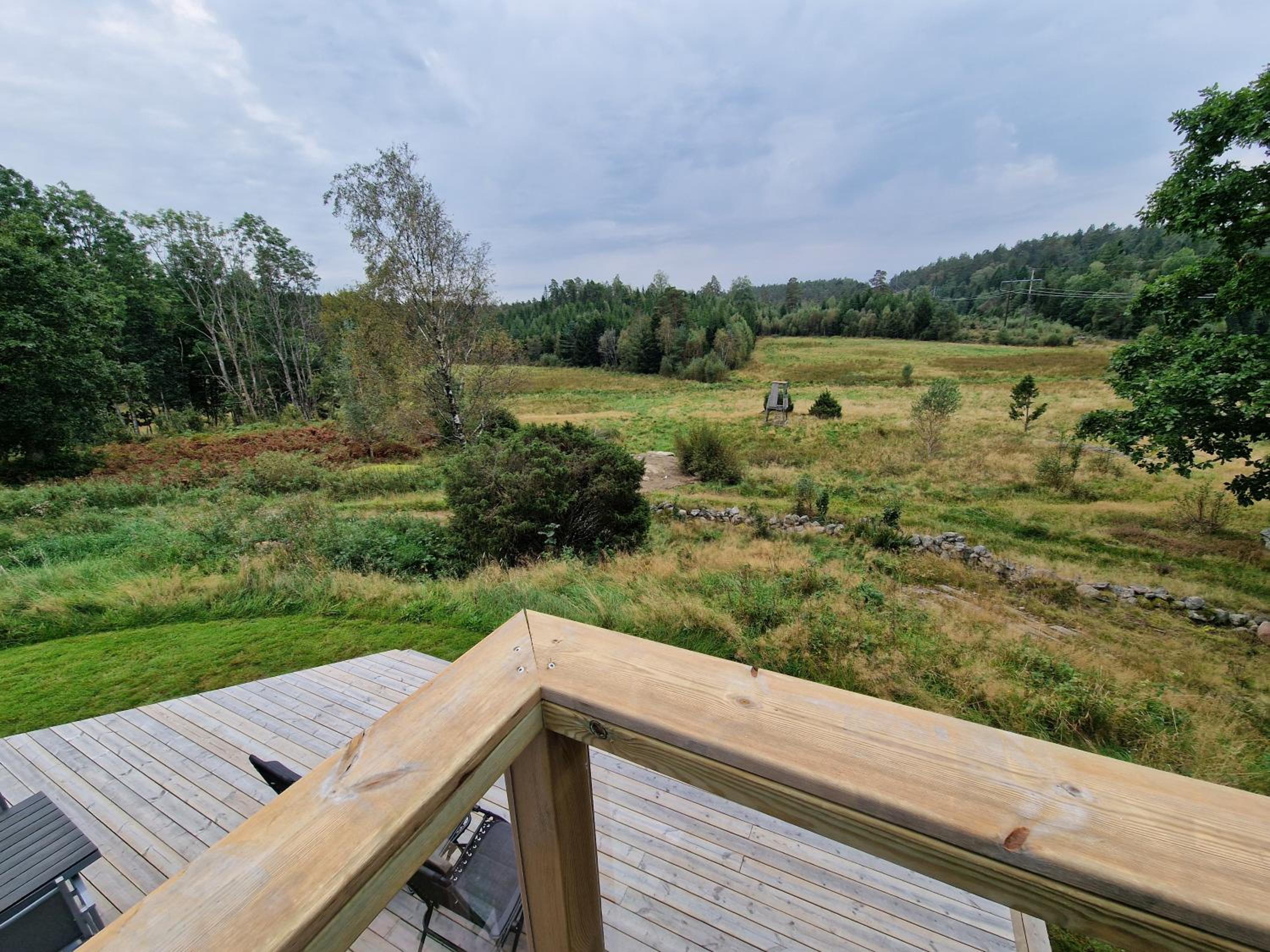 Wild Lodge