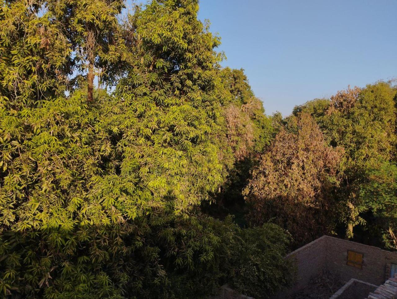 Nubian Life Nile View