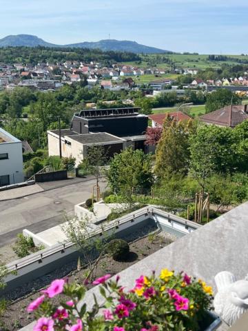 Ferienwohnung - Penthauswohnung Albblick, traumhafter Ausblick, ruhige Lage