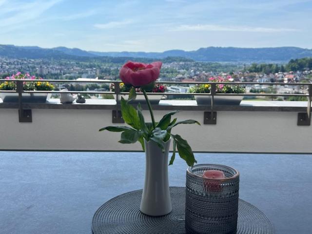 Ferienwohnung - Penthauswohnung Albblick, traumhafter Ausblick, ruhige Lage