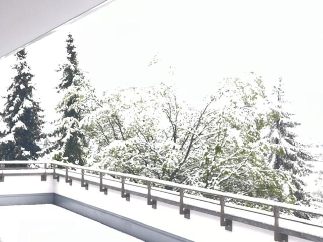 Ferienwohnung - Penthauswohnung Albblick, traumhafter Ausblick, ruhige Lage
