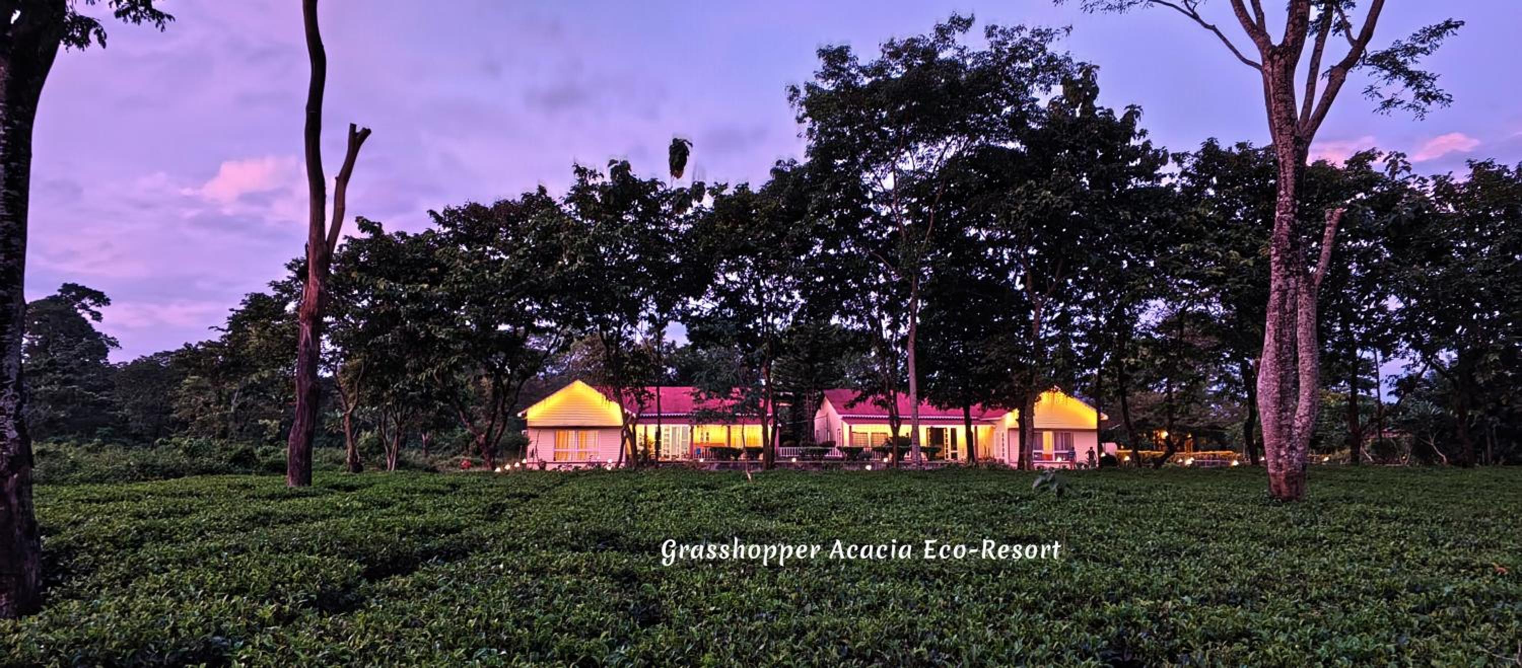Grasshopper Acacia Eco Resort