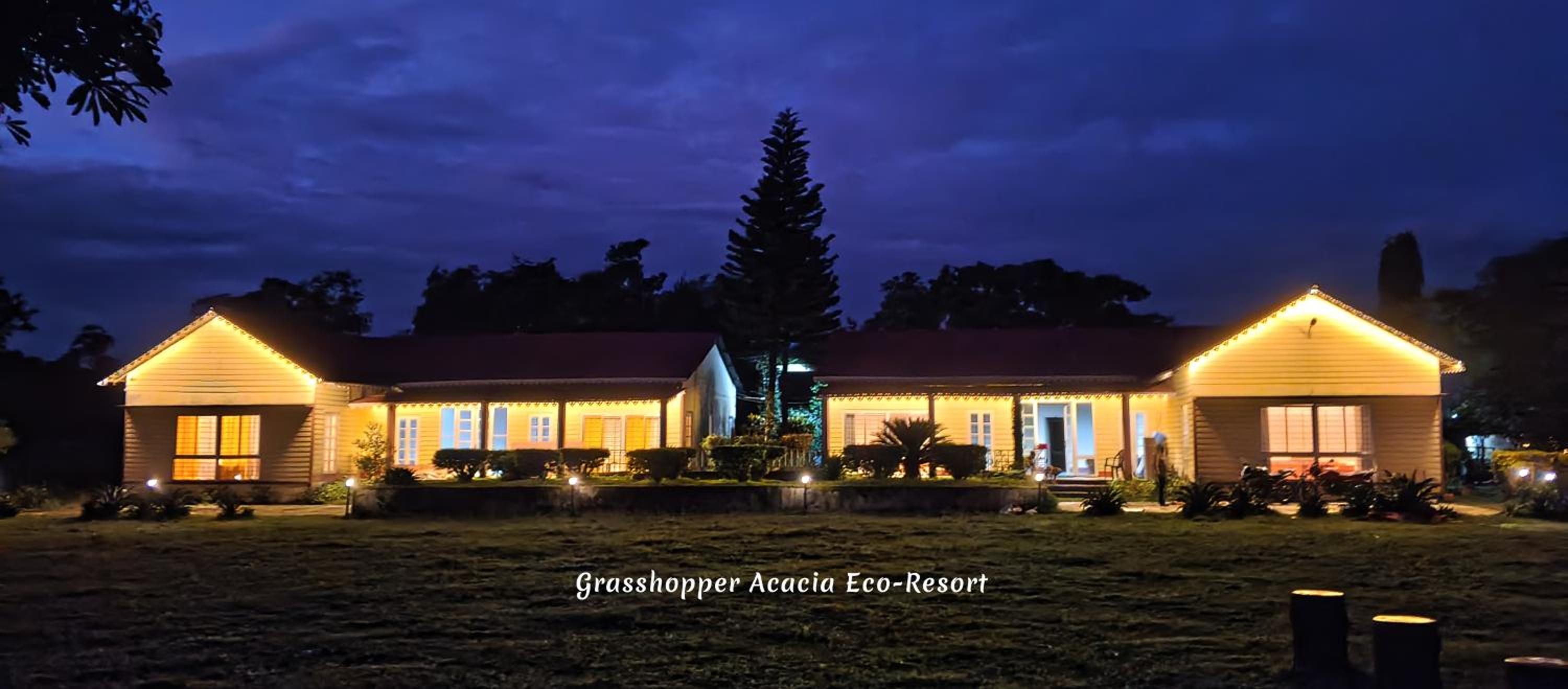 Grasshopper Acacia Eco Resort
