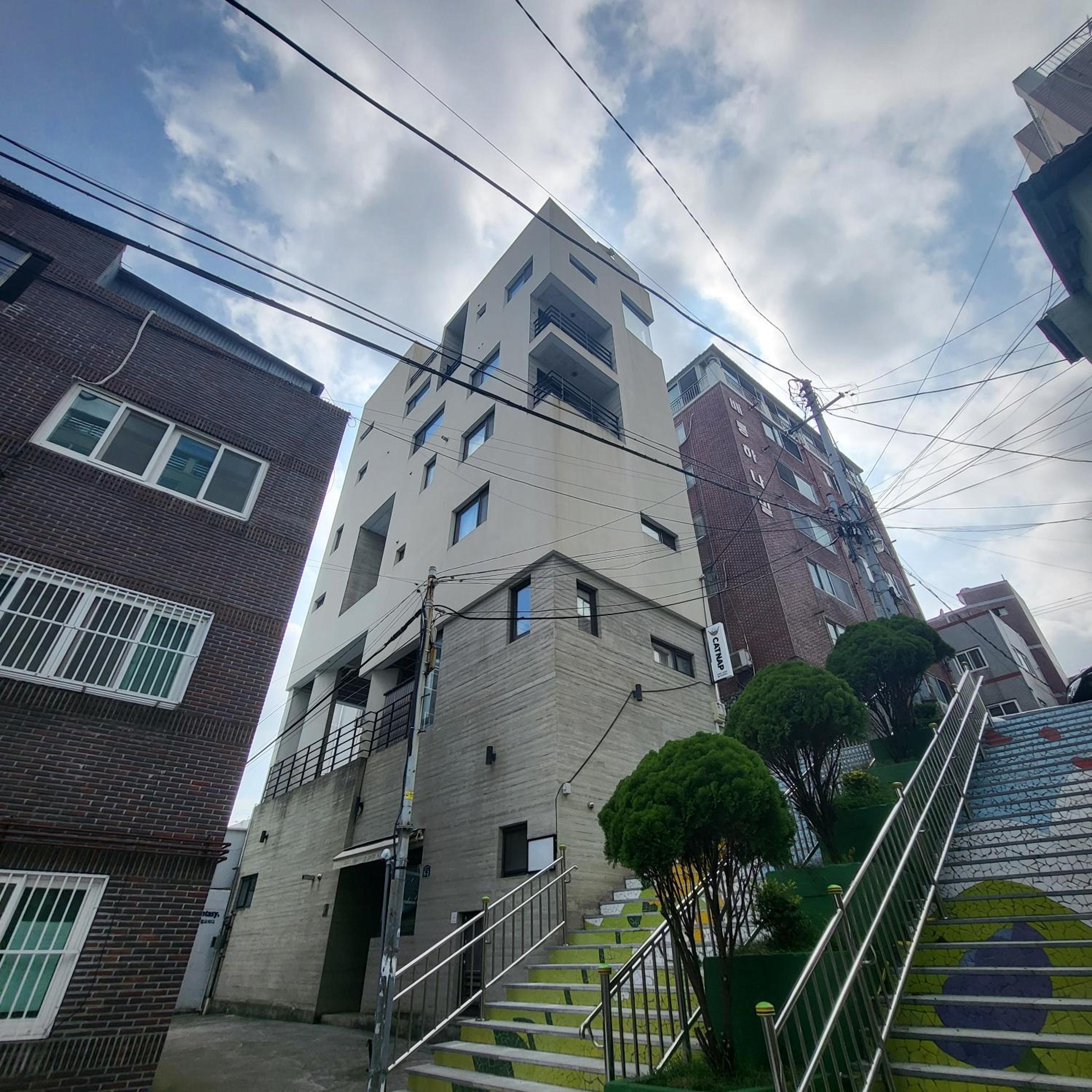 Catnap guesthouse