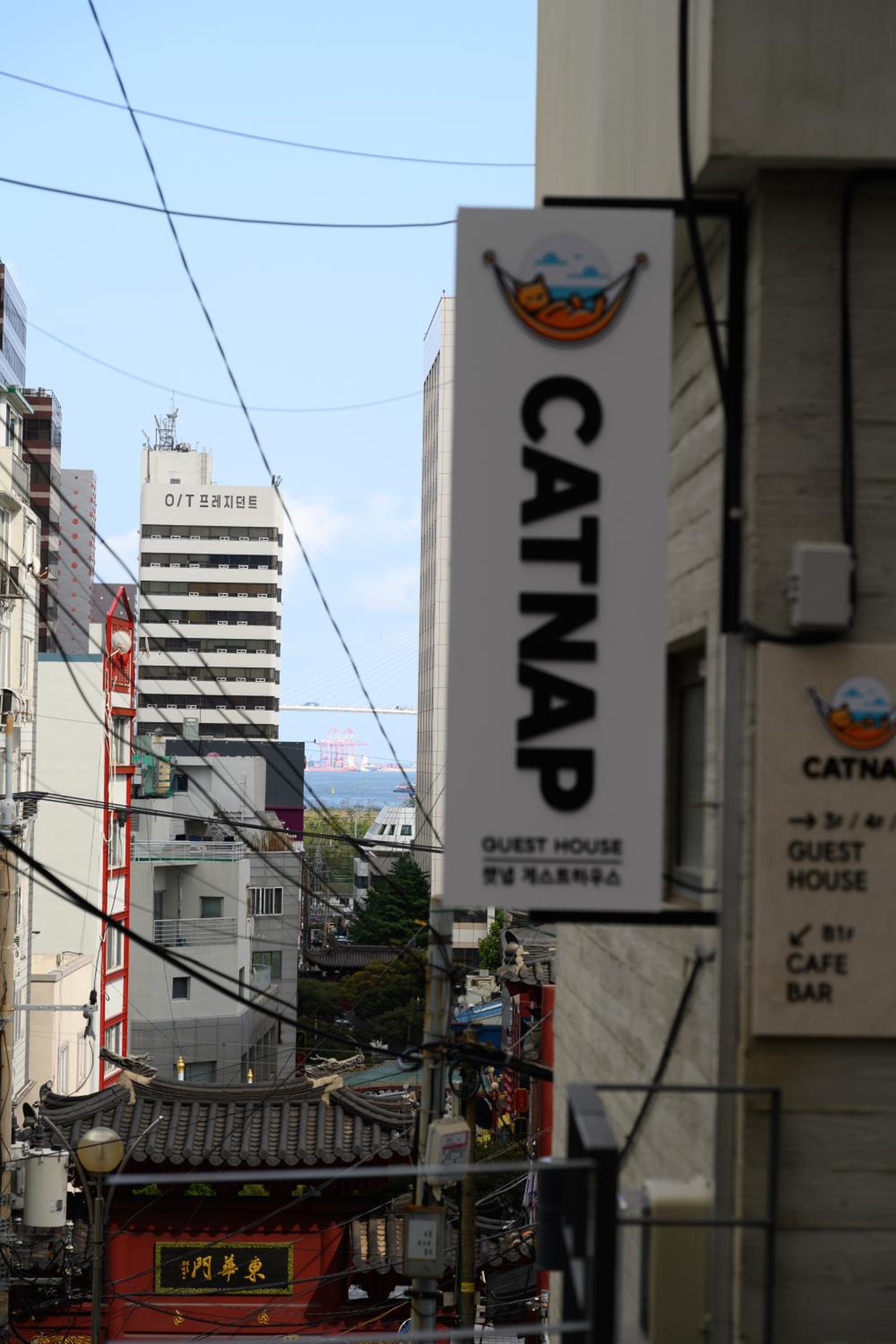 Catnap guesthouse