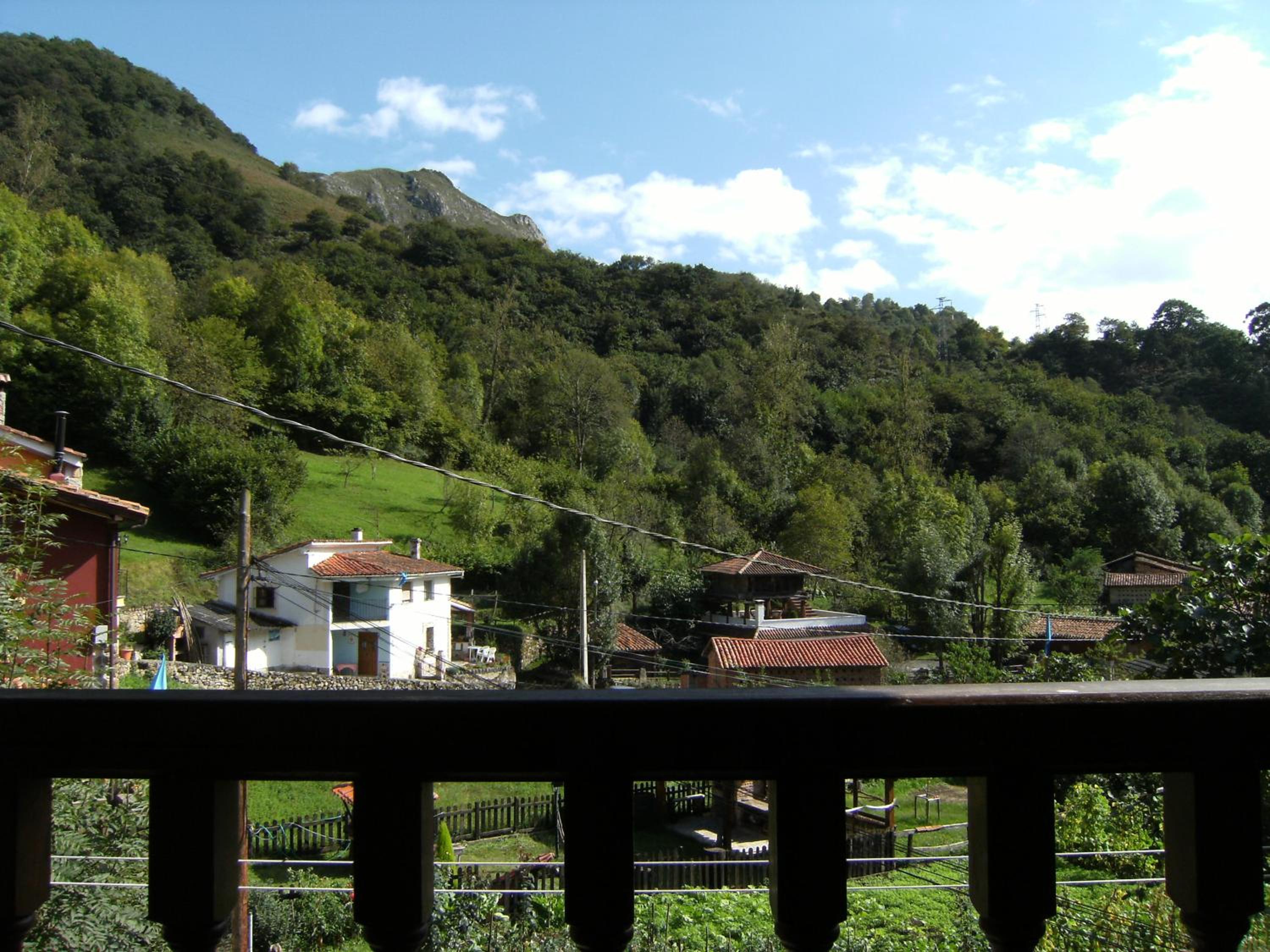 Photo 31