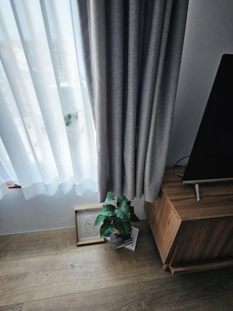 Catnap guesthouse