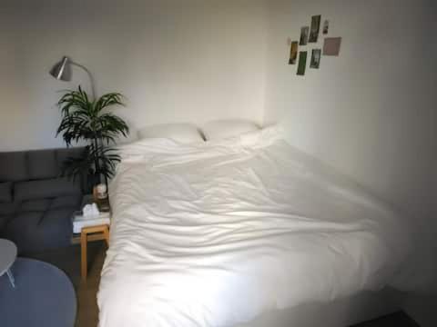Catnap guesthouse
