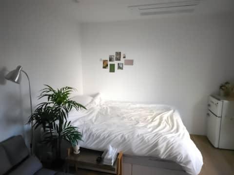 Catnap guesthouse