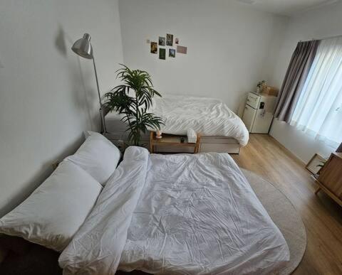 Catnap guesthouse