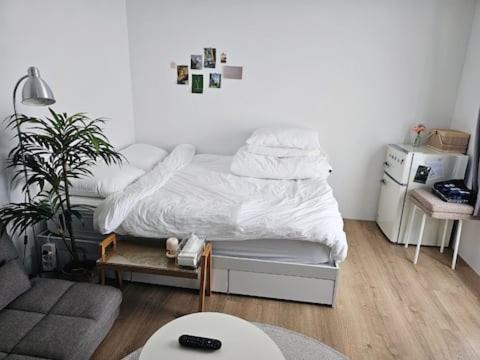 Catnap guesthouse