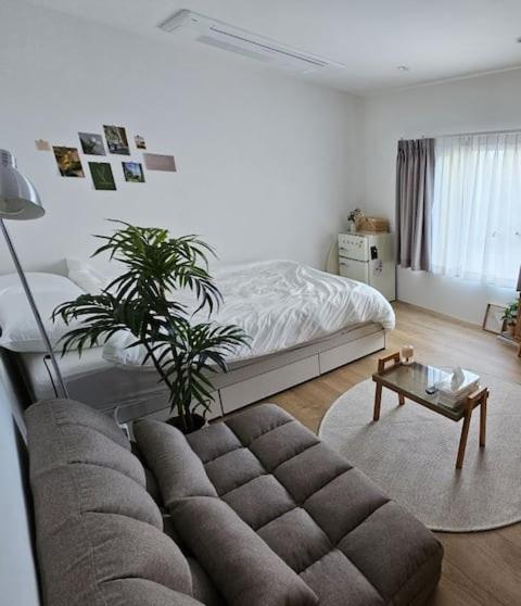 Catnap guesthouse