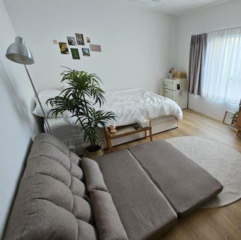 Catnap guesthouse