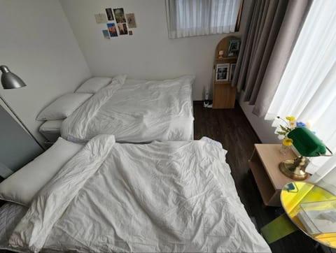 Catnap guesthouse
