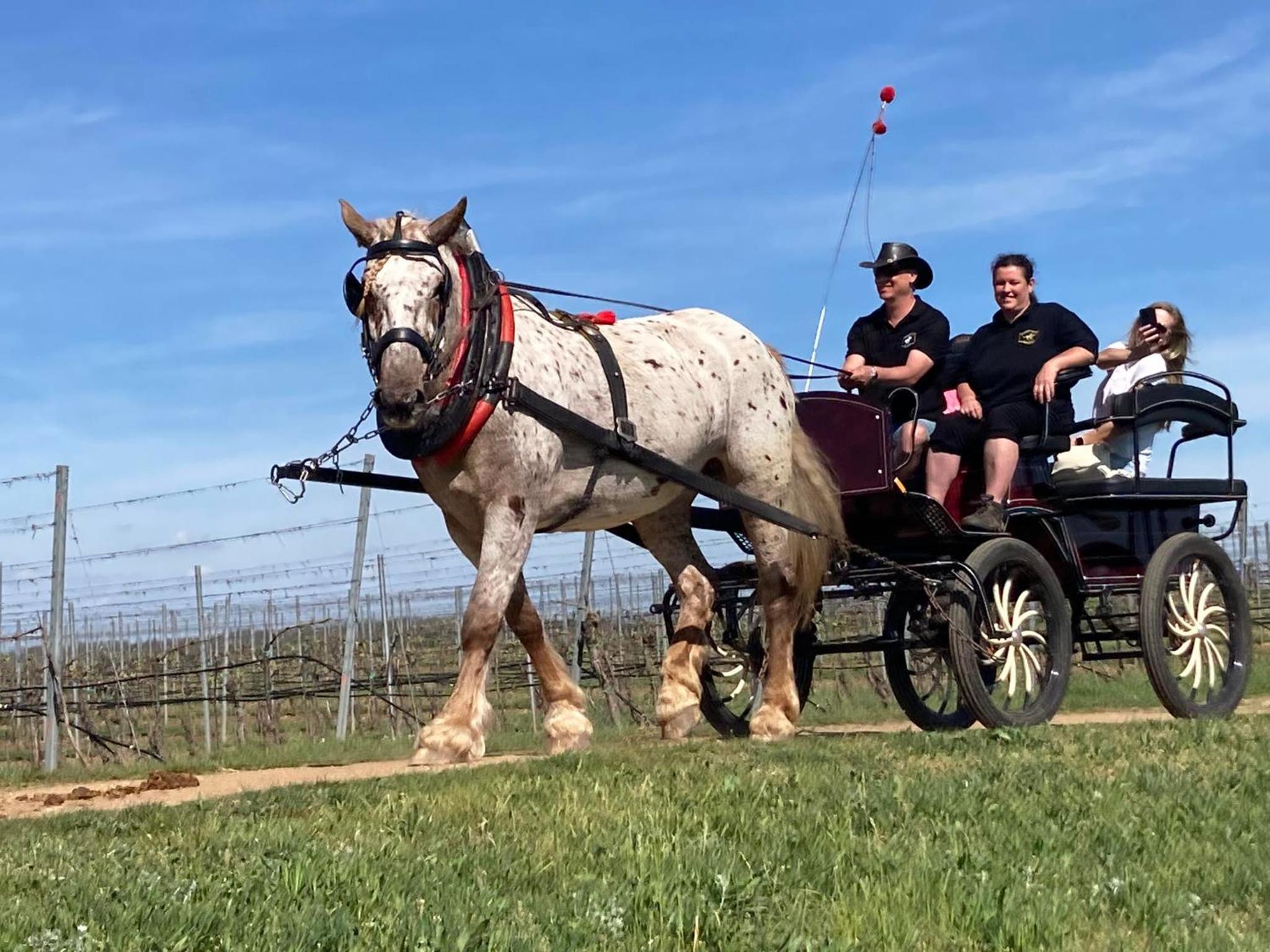 Penzion Horse Farm Lechovice