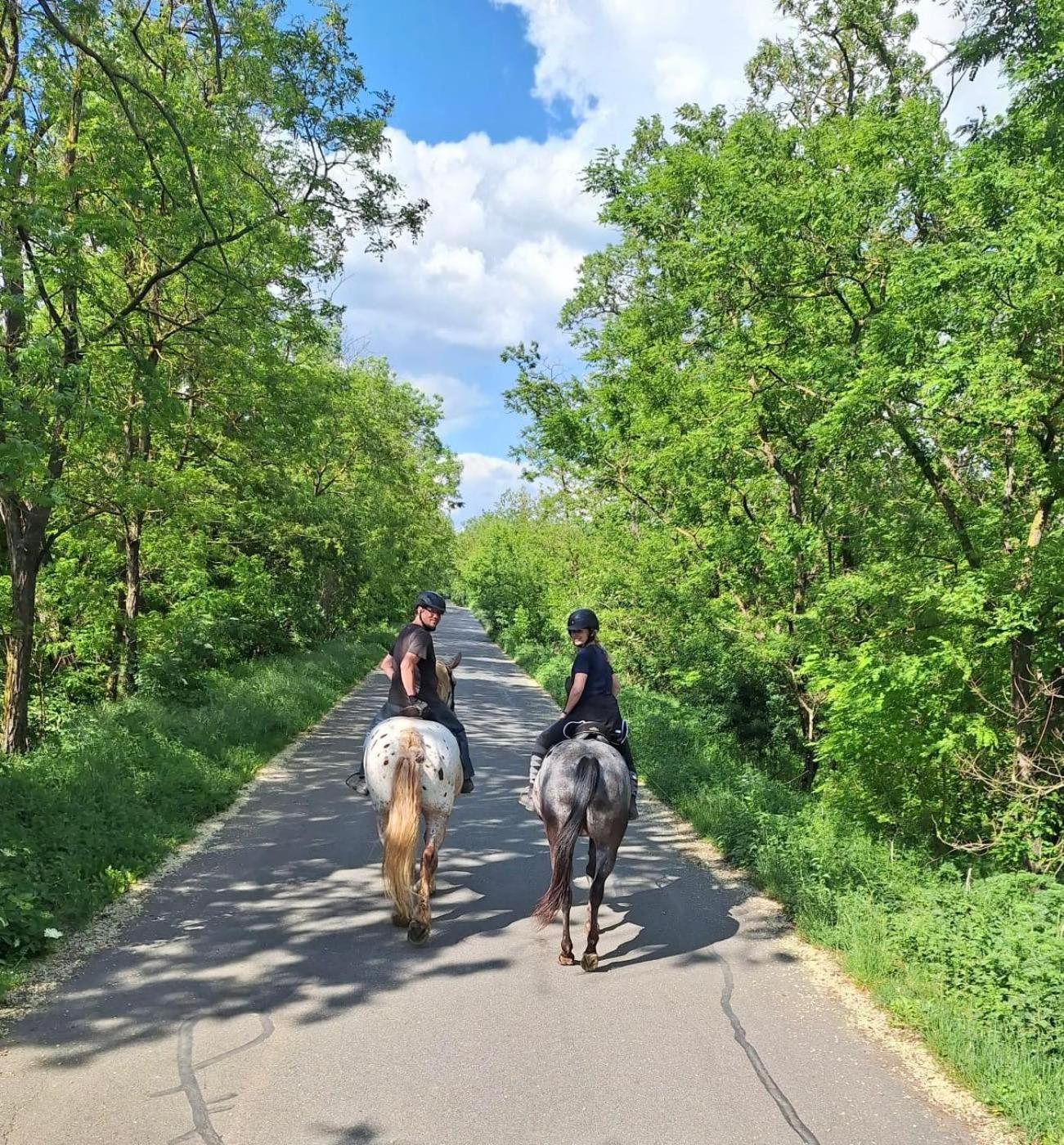 Penzion Horse Farm Lechovice