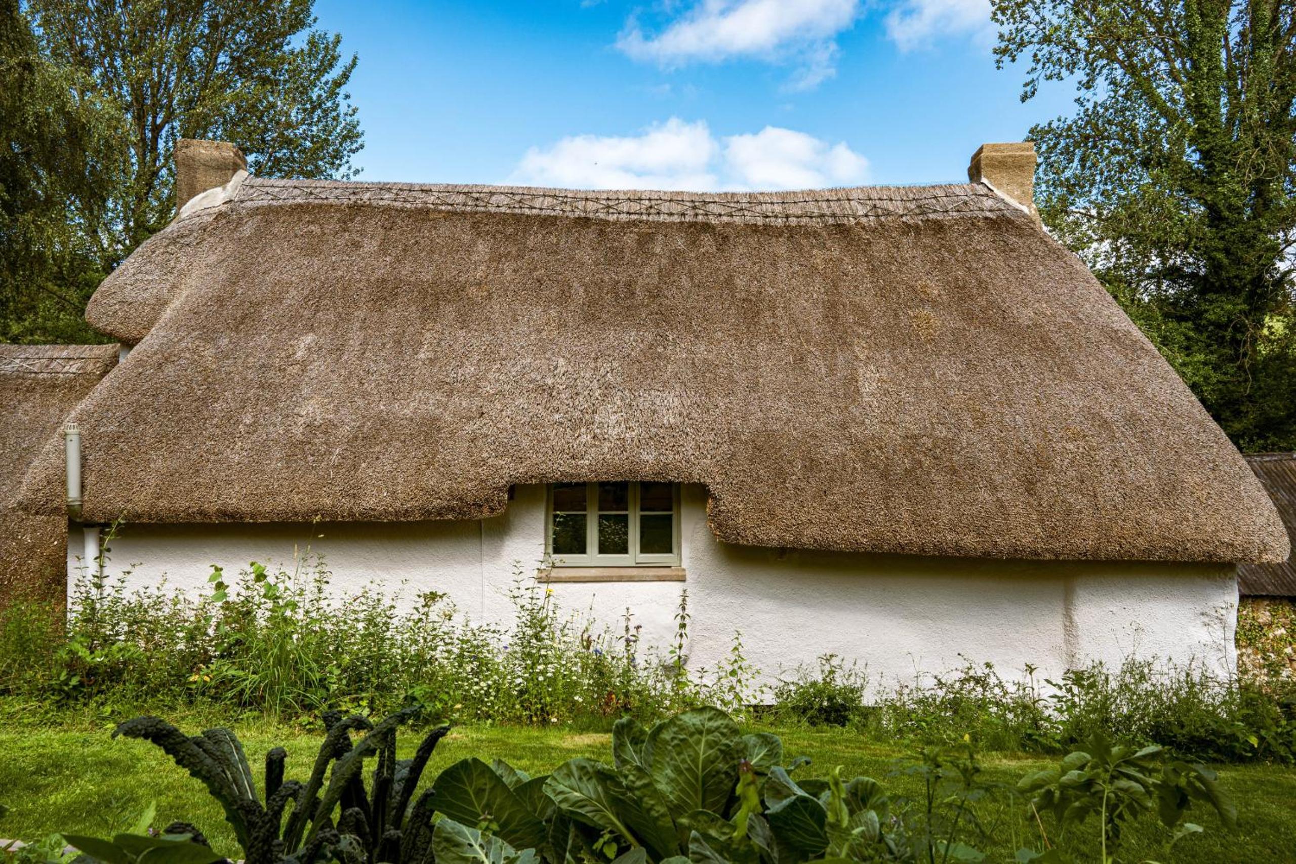 Weeke Brook - Quintessential thatched luxury Devon cottage