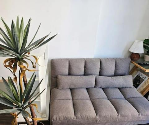 Catnap guesthouse